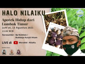 Halo NilaiKu Edisi 17. Apotek Hidup dari Lombok Timur