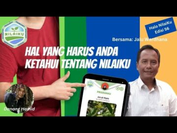 Ngobrol Bareng Jalu Wardhana tentang Ekosistem Digital NilaiKu ( Halo NilaiKu:56)